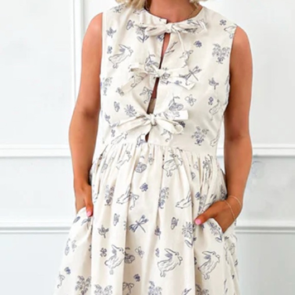 Cream women’s dress with blue bunny and dragonfly/bird print. Great Easter dress